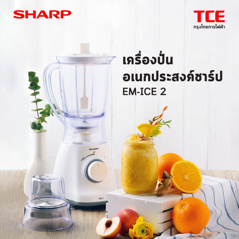 EM-ICE2-F1