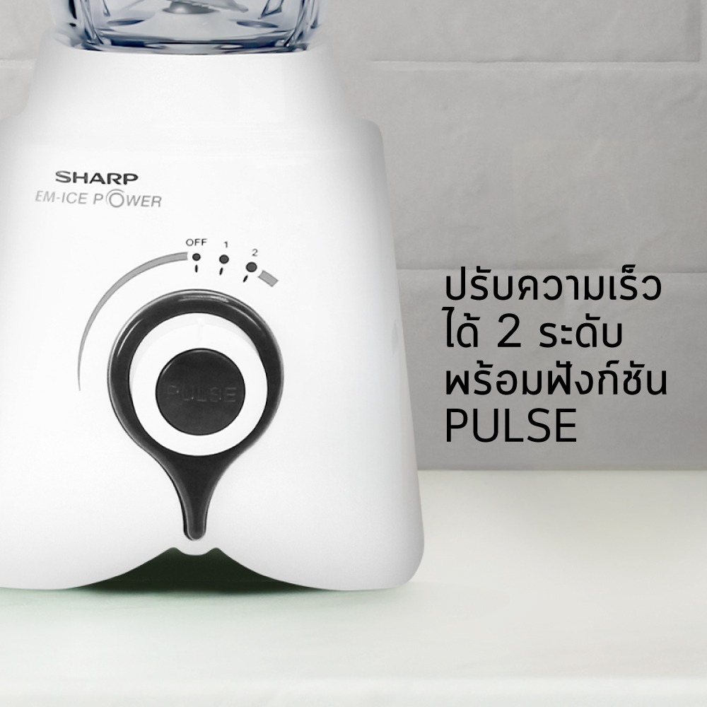 EM-ICEPOWER-F2