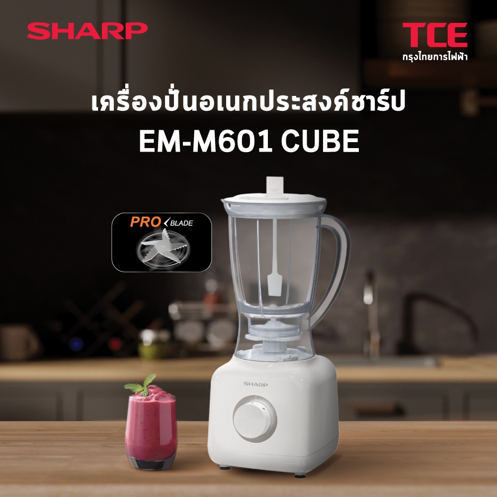 EM-M601-16