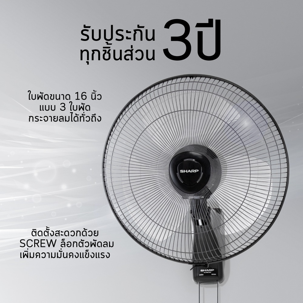 PJ-WA163-DG-12